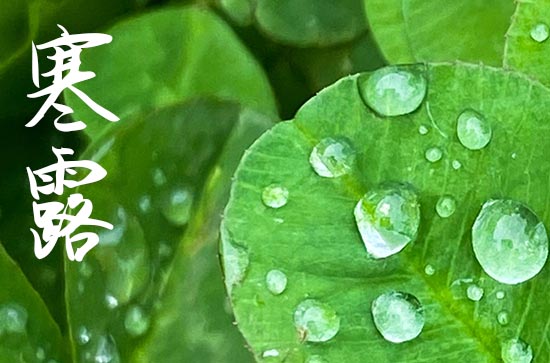 2023年寒露会下霜吗 今年寒露下雨了吗