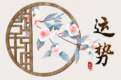 788车牌号好不好 788车牌号吉利吗